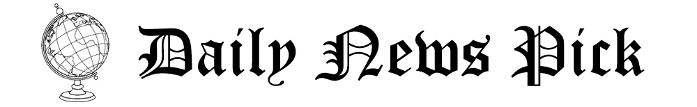 Daily News Pick logo